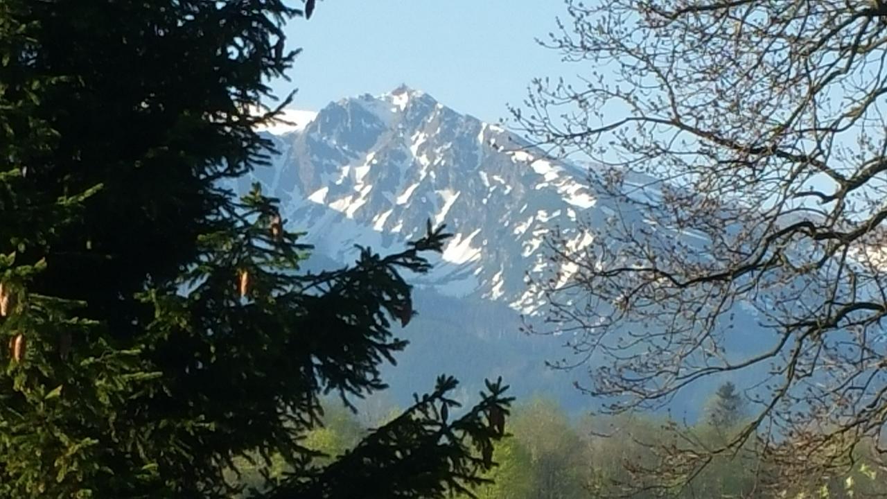 Camping Harenda Pokoje Goscinne I Domki Zakopane Exterior photo