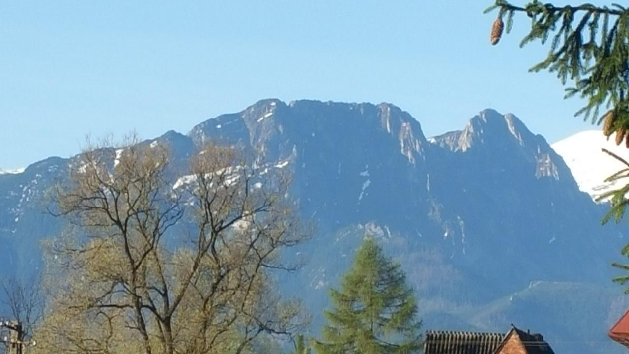 Camping Harenda Pokoje Goscinne I Domki Zakopane Exterior photo