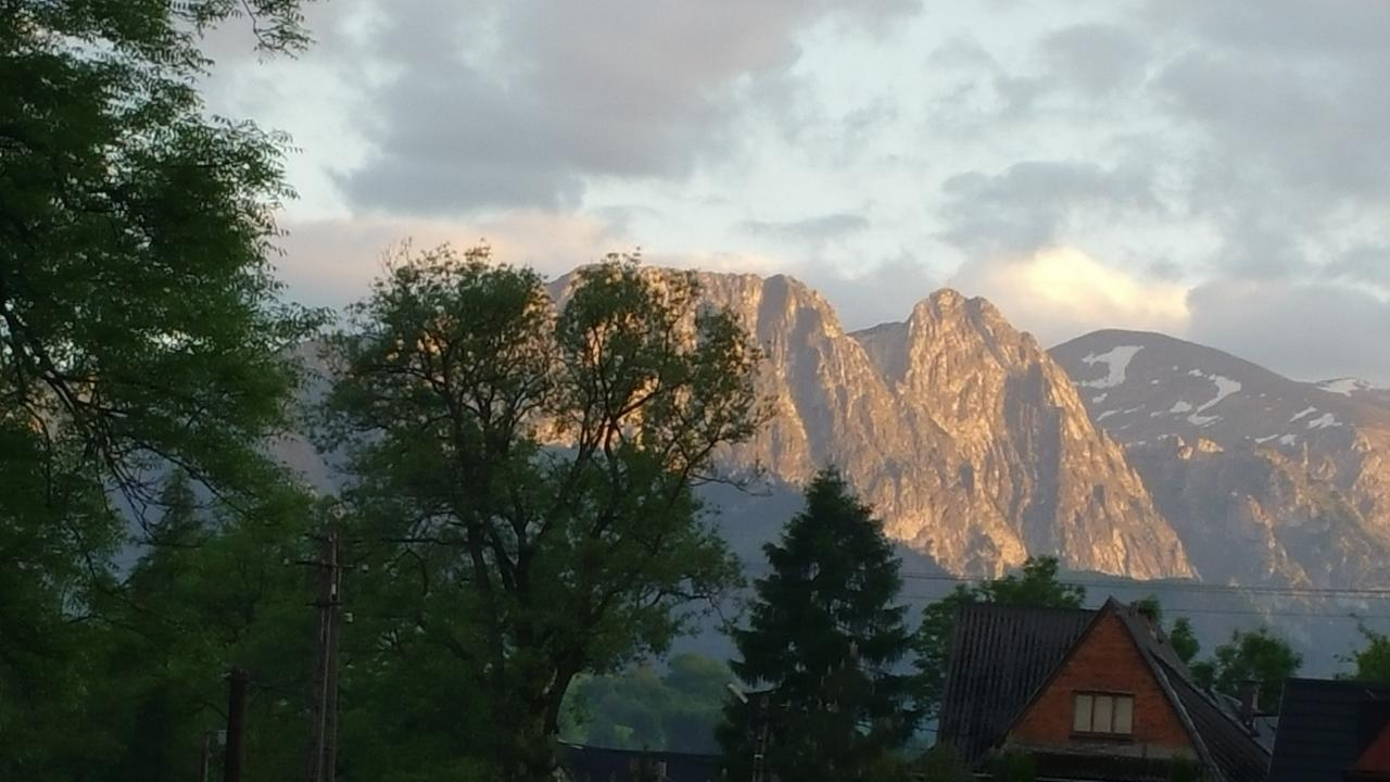 Camping Harenda Pokoje Goscinne I Domki Zakopane Exterior photo